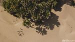 Padang Pasir Berbatasan Laut Ini Ada di Timur Indonesia