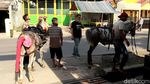 Penampakan Lokasi Pembunuhan Kusir Delman di Majalaya