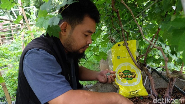 Petani asal Karawang.