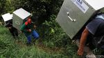 Melihat Proses Pelepasliaran Kukang Jawa di Gunung Salak