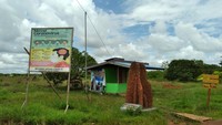 Rumah rayap ini berdiri dengan sangat kokoh dan mampu bertahan hingga puluhan tahun lamanya. Bahan pembuatnya terdiri dari pasir kuarsa, tanah liat, dan lumpur. Sebagai perekatnya digunakan kotoran dan air liur rayap itu sendiri. (Hari Suroto/Istimewa)
