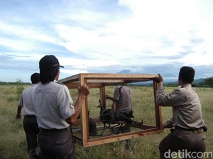 Jelang Nataru, TN Baluran Situbondo Ditutup Antisipasi Penyebaran COVID-19