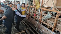 Musyaffak menjelaskan, bahwa ekspor perdana ini rencana total kuota 2000 ekor, baru terkirim 1 301 ekor domba senilai Rp 2,2 Miliar. Semoga dalam waktu yang tidak terlalu lama, Koperasi Peterak Indonesia dapat memenuhi seluruh kuota yang telah disepakai.   