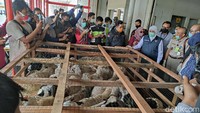 Program ini bertujuan untuk mendorong tumbuh kembangnya ekspor produk pertanian baik dari sisi jumlah eksportir, negara tujuan, maupun ragam komoditas pertanian.  