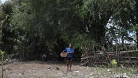 Selain asam, Yanuarius Tallo juga mengepul barang lainya seperti jagung.  