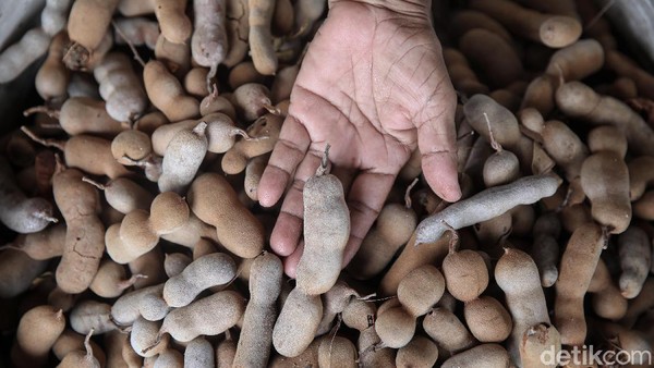 Asam Manis Bisnis Pengepul Asam