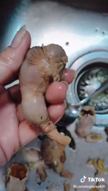 Apes! Wanita Ini Makan Ati Ampela yang Masih Ada Kotoran Ayam