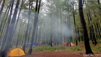 Untuk berkemah di Kawasan Pinus Lembanna, Kabupaten Gowa, Sulsel pengujung hanya dipatok biaya seadanya berkisar Rp 10.000-Rp 20.000. Lokasinya sangat sejuk karena berada di ketinggian 1.000 meter di atas permukaan laut. (Ibnu Munsir/detikTravel)