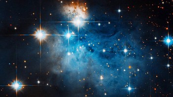 Gambar yang menakjubkan ini menangkap wilayah kecil di tepi Coalsack Nebula yang bertinta, atau Caldwell 99.  Foto: NASA