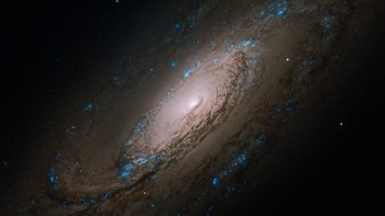 Caldwell 29, juga dikenal sebagai NGC 5005, adalah galaksi spiral  yang kemungkinan memiliki lubang hitam supermasif di jantungnya. Foto: NASA