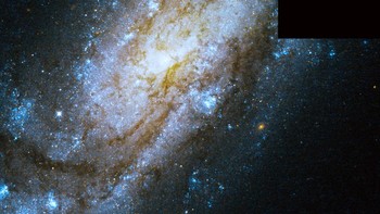 Gambar Hubble yang indah ini menangkap inti dan beberapa lengan spiral galaksi Caldwell 36. Juga dikenal sebagai NGC 4559, galaksi spiral ini terletak kira-kira 30 juta tahun cahaya dari Bumi di konstelasi Coma Berenices.  Foto: NASA
