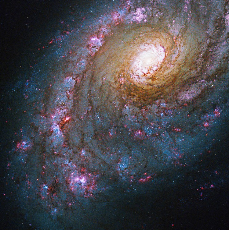 Foto Hubble Terbaru