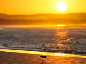 Hari Ini Australia Mengalami Siang Terpanjang, Ini yang Membuatnya Istimewa