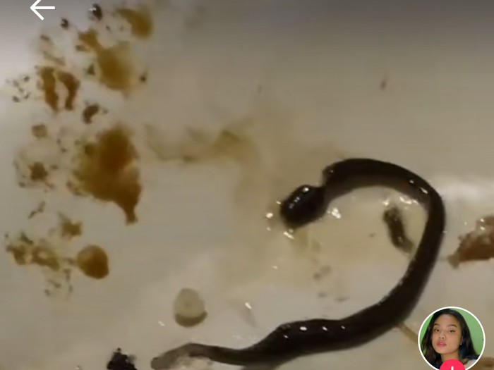 Minum Es di Warung, Wanita Ini Tak Sengaja Seruput Cacing Hidup