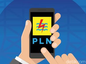 PLN Punya Komite Dewan Komisaris Baru, Ini Daftarnya
