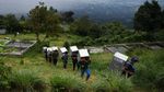 Potret Pelepasliaran Kukang Jawa di Gunung Salak