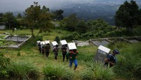 Sebanyak 15 individu kukang dari total 30 individu hasil serahan dari warga ke BKSDA dilepasliarkan ke alam.