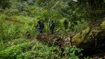 Potret Perempuan Penjaga Hutan Aceh