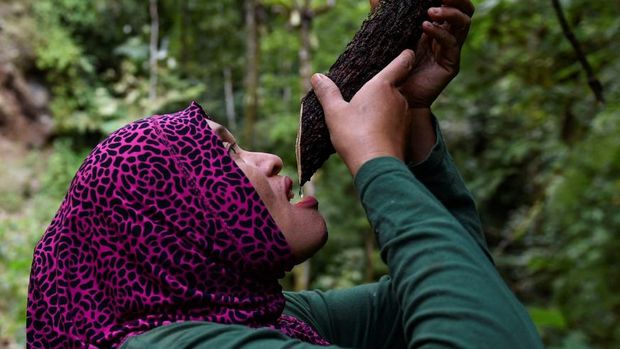 This picture taken on November 25, 2020 shows a group of women forest rangers patrolling in the forest of Bener Meriah, Aceh province. (Photo by CHAIDEER MAHYUDDIN / AFP) / TO GO WITH: Indonesia environment forests gender social, FEATURE by Alfath Asmunda