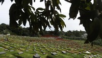 Untuk pemakaman pasien COVID-19 yang beragama Islam, letaknya berada di bagian belakang TPU.