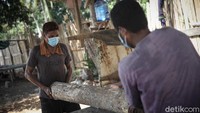 Sebagian kayu jati ini dibeli dari masyarakat yang tinggal di Kabupaten Malaka.  