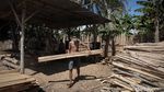 Geliat Pengusaha Kayu Jati di Malaka