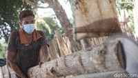 Kayu jati ini juga diminati warga Timor Leste.  