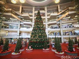 Waduh! Tahun Ini Pohon Natal Bakal Langka, Kok Bisa?
