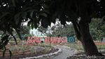 Belajar Pertanian di Agro Edukasi Wisata Ragunan