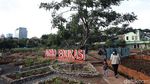 Belajar Pertanian di Agro Edukasi Wisata Ragunan