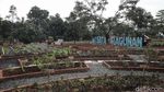 Belajar Pertanian di Agro Edukasi Wisata Ragunan