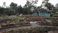 Tempat ini menjadi tempat pusat edukasi percontohan pertanian perkotaan.