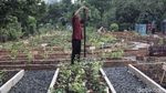 Belajar Pertanian di Agro Edukasi Wisata Ragunan