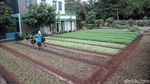 Belajar Pertanian di Agro Edukasi Wisata Ragunan