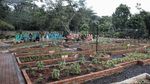 Belajar Pertanian di Agro Edukasi Wisata Ragunan