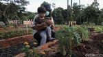 Belajar Pertanian di Agro Edukasi Wisata Ragunan