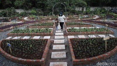 Belajar Pertanian di Agro Edukasi Wisata Ragunan