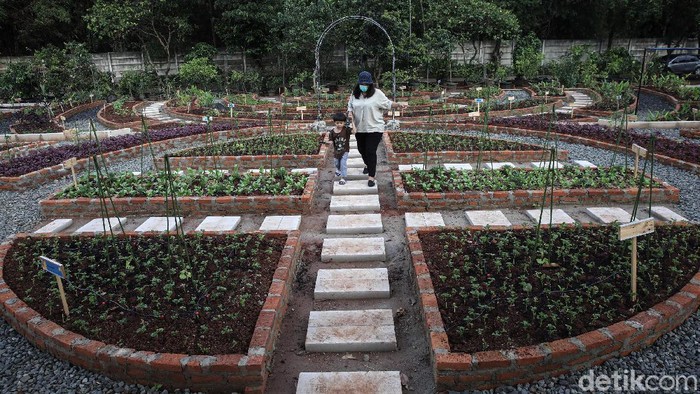 Pemerintah Provinsi DKI Jakarta mendirikan Agro Edukasi Wisata Ragunan. Yuk lihat.