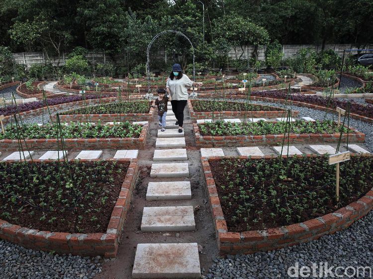 Belajar Pertanian di Agro Edukasi Wisata Ragunan