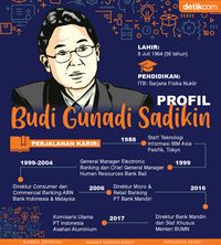 Profil Budi Gunadi Sadikin: Bankir, Wamen BUMN, Kini Menkes