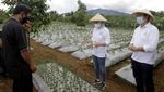 Festival Hortikultura di Purwakarta