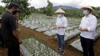 Hal ini guna mendukung ketahanan pangan keluarga di tengah pandemi dan selanjutnya kolaborasi ini akan dikembangkan di 17 kecamatan di Purwakarta.