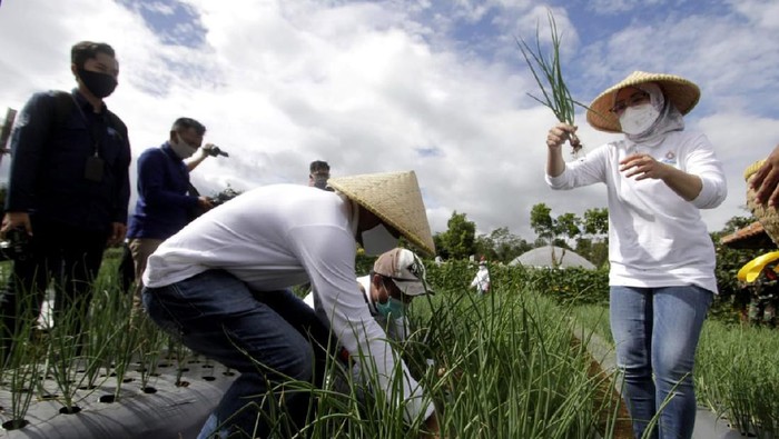 Festival Hortikultura di Purwakarta Festival Hortikultura digelar di kawasan Eduagrowisata, Kebun Ambu, Purwakarta, Jawa Barat. Kegiatan ini untuk meningkatkan kesadaran masyarakat untuk menanam.