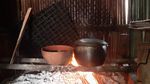 Foto: Keladi yang Mahal di Jakarta, Cuma Jadi Bumbu Masak di Papua