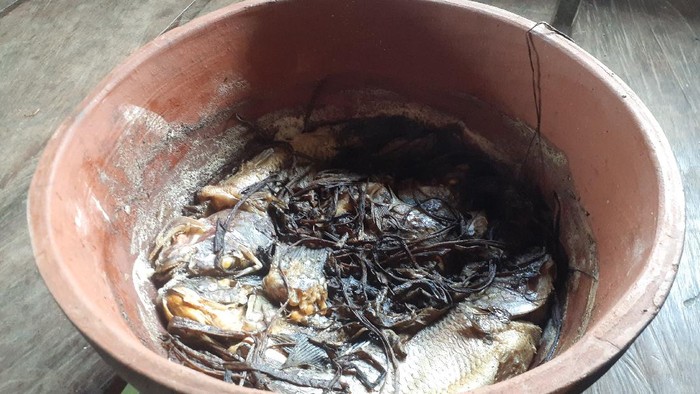 Keladi di Papua jadi bumbu masak