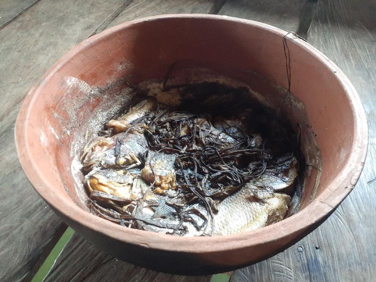 Foto: Keladi yang Mahal di Jakarta, Cuma Jadi Bumbu Masak di Papua