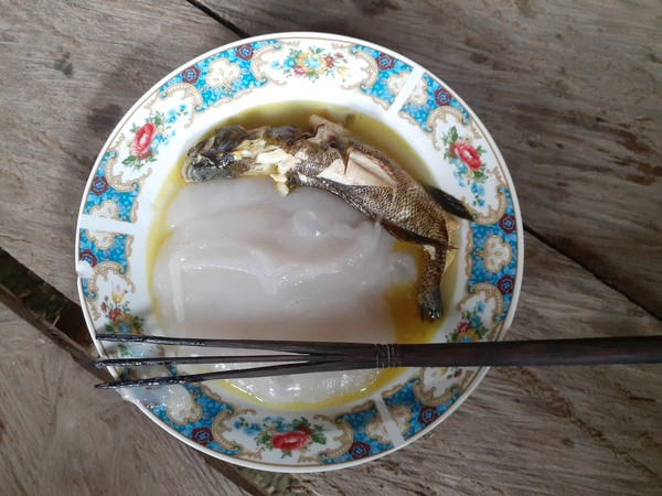 Papeda biasa disajikan dengan ikan kuah kuning. Terdapat nilai-nilai positif dalam tradisi makan papeda bersama. Selain membuat ikatan keluarga semakin kuat, pada saat inilah, orang tua biasanya akan memberi nasehat kepada anak-anaknya. Papeda biasa disajikan dengan ikan kuah kuning. Terdapat nilai-nilai positif dalam tradisi makan papeda bersama. Selain membuat ikatan keluarga semakin kuat, pada saat inilah, orang tua biasanya akan memberi nasehat kepada anak-anaknya.