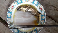 Biasanya ikan ini dimakan bersama dengan papeda. Penggunaan batang dan daun keladi merupakan bentuk kearifan lokal yang diwariskan secara turun temurun di Papua. (Hari Suroto/Istimewa)