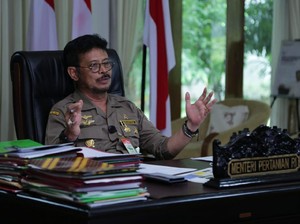 Anggaran Kementan Tahun Depan Naik Jadi Rp 15 T Buat Tangani PMK-Kedelai