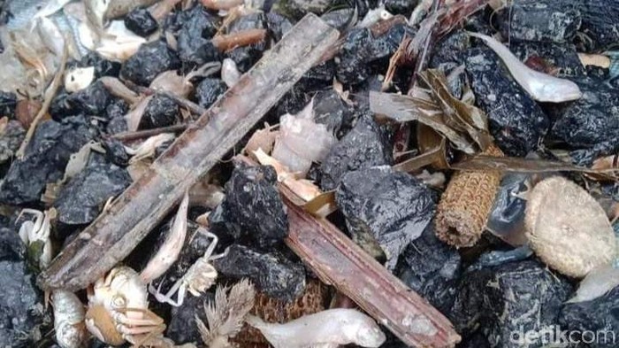 Nelayan di Kabupaten Batang tangkap batu, Selasa (22/12/2020).